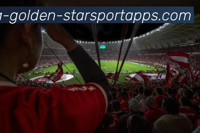 星空体育服务体系